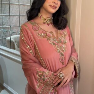 Georgette Punjabi Suit