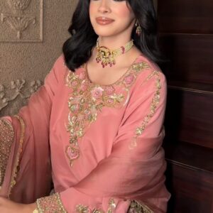 Georgette Punjabi Suit