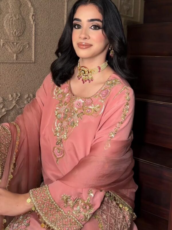 Georgette Punjabi Suit