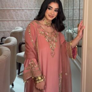 Georgette Punjabi Suit