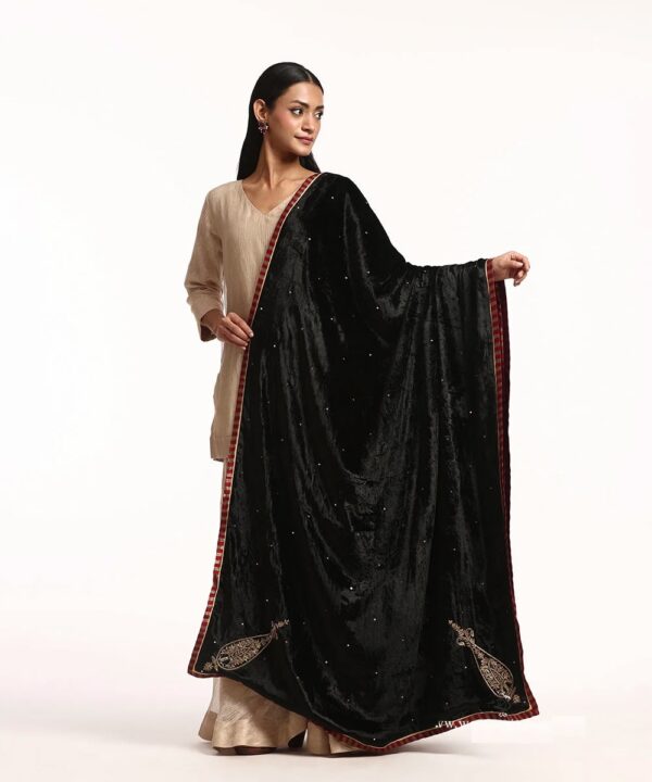 Black Hand-Embroidered Velvet Doshala | Luxury Winter Ethnic Wear – CoutureCraze